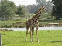 Bild 1192.webp