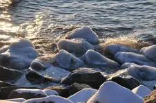 26.webp