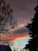 Abendstimmung_0027.webp