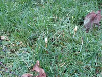 IMG_6263.webp
