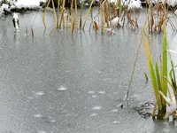 Eis am Teich_0005.webp