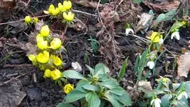 DSCN1523.webp