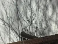 SAM_2847.webp