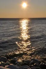 34.webp