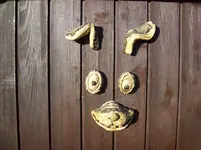 26 Seetallaube.webp