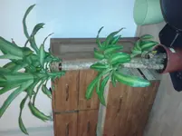 20140128_205557.webp