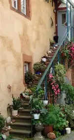 Büdingen (16).webp