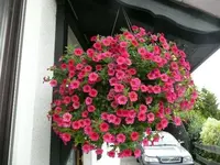 Ampel.25.9.2012~1.webp