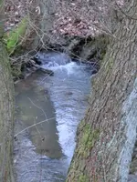 CIMG6601.webp