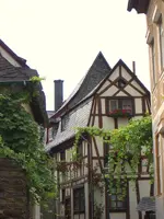 CIMG2509.webp