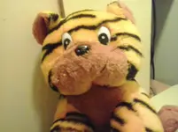 20131227_215519.webp