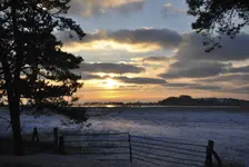 60.webp