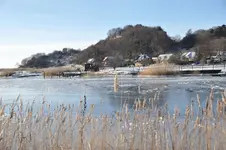 40.webp