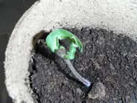 DSCF7111.webp
