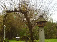 jan07 028.webp