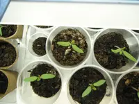 DSCF7113.webp