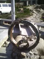 Ring der Niebelungen.webp