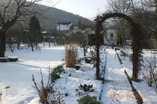 Garten 01 2014 016.webp