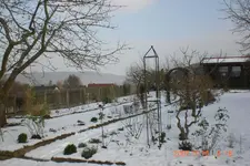 Garten 01 2014 025.webp