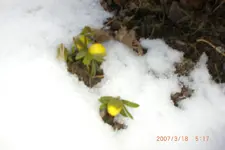 Garten 01 2014 022.webp