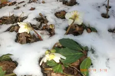 Garten 01 2014 024.webp