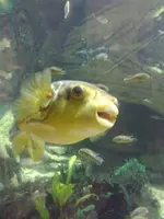 20012014024.webp