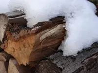 Holz.webp