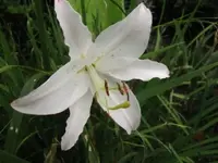 014.webp