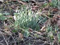 P1030253.webp