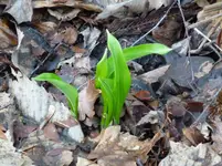 P1030260.webp