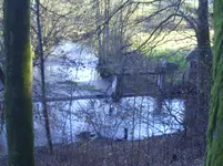 jan08 020.webp