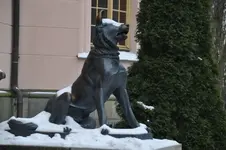 Garnitz1.webp