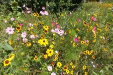 2012_0810Sommer0040.webp