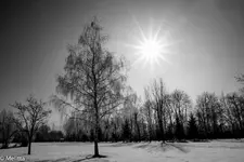 IMG_6289-001.webp