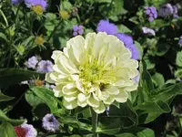 076.webp
