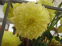 IMG_6882.webp