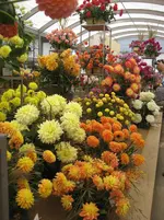 IMG_6895.webp