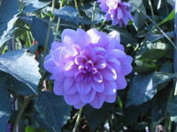 IMG_3569.webp