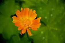 8.webp