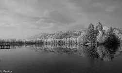 IMG_1257-002.webp