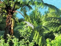Copy of IMG_2019v.webp