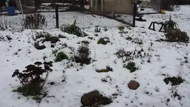 20140202_095659.webp