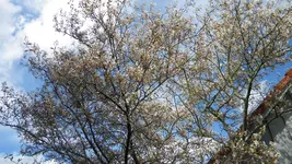 DSCN2144.webp
