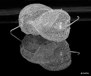 IMG_1847-001.webp
