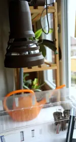 comp_DSC05995.webp