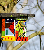 erster Gast im Hundertwasser2_640.webp