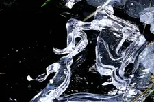 _Eis am Teich.webp