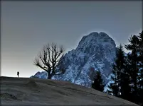 zell.webp
