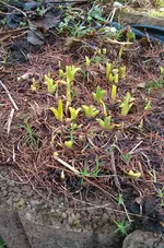 IMAG1663.webp