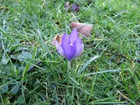 IMG_6273.webp